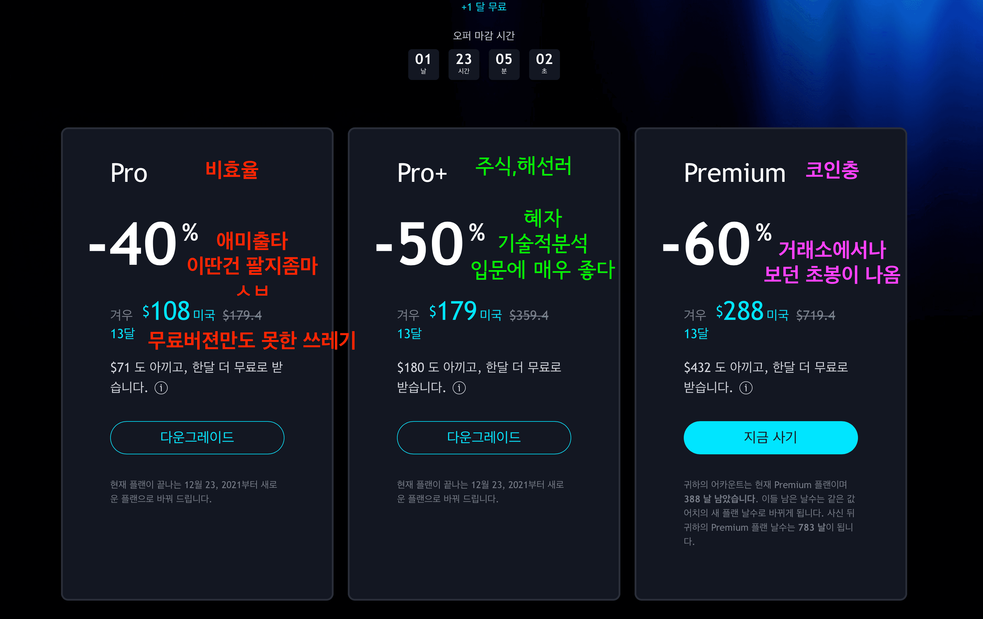 트레이딩 뷰 블랙프라이데이 세일 이벤트 안내